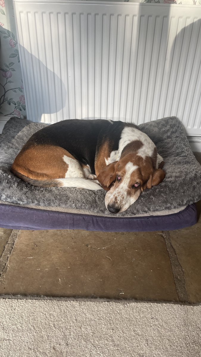 Phil Sledge tweet media