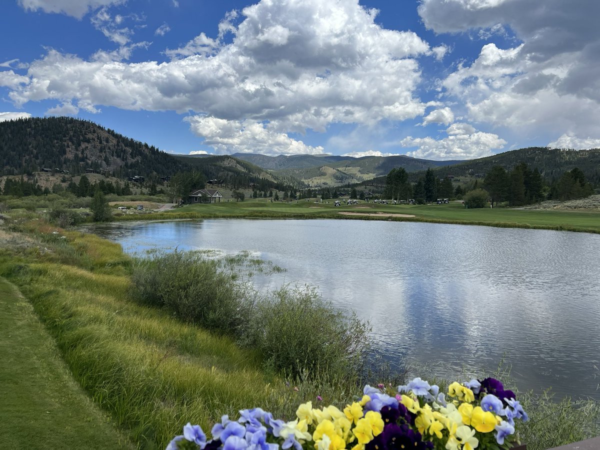 Joe Calder tweet media