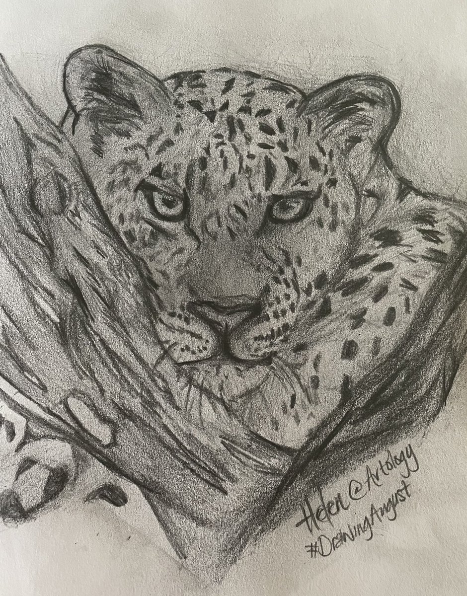 This kept me out of mischief this afternoon… 
#DrawingAugust
#WildLifeDrawing