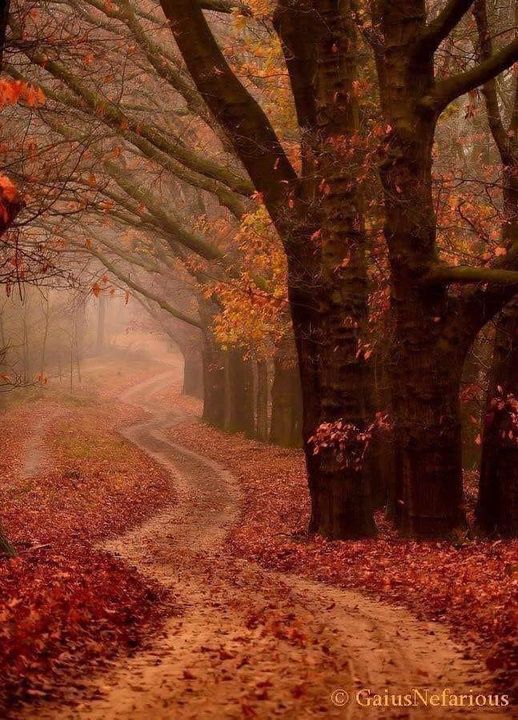 Impatiently waiting for this weather #fall #vibe #vibes