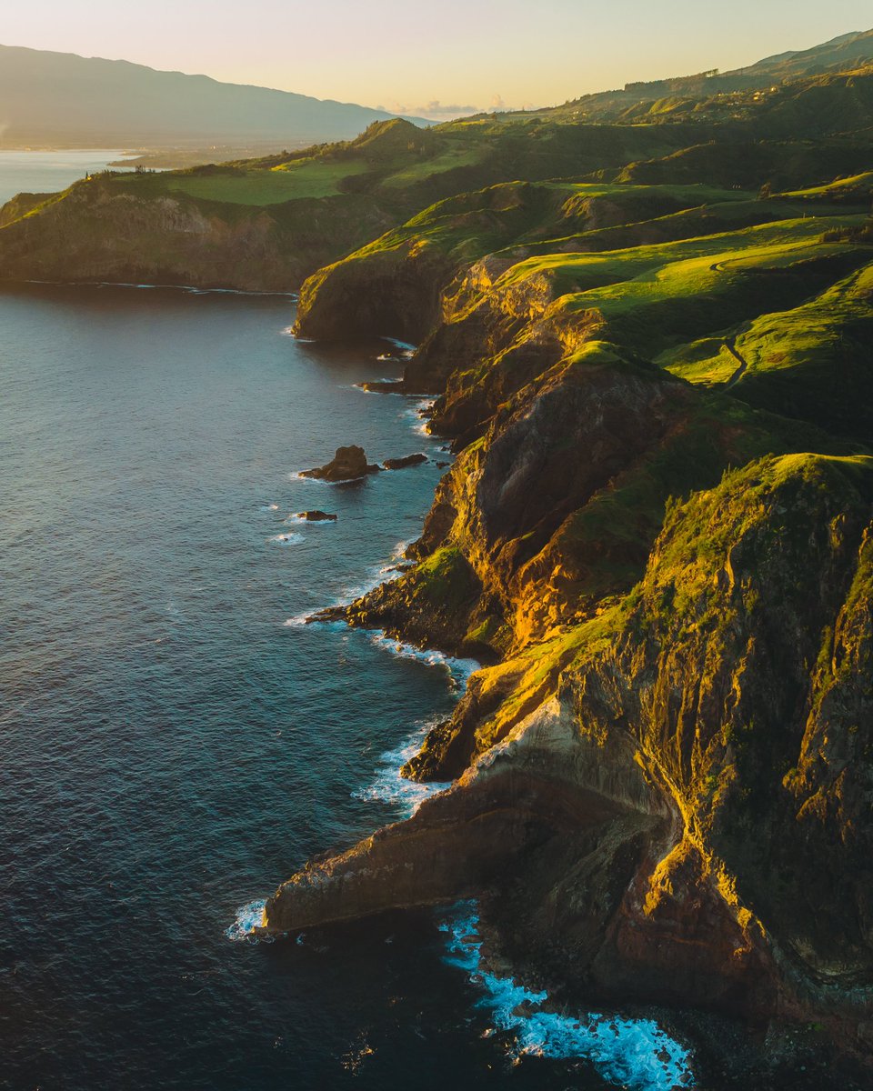 erickerr_eth's tweet image. 🌴🐋