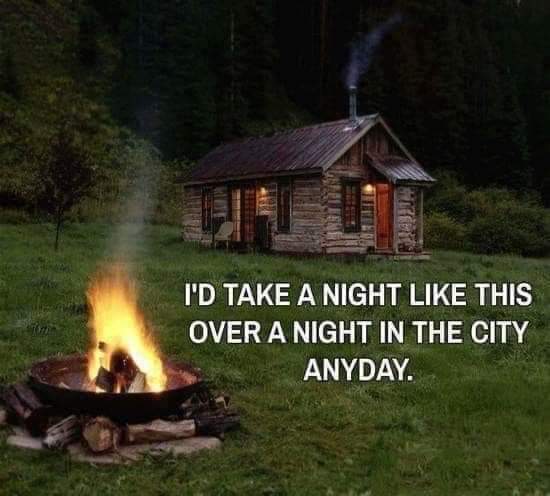 MansonAdams's tweet image. 