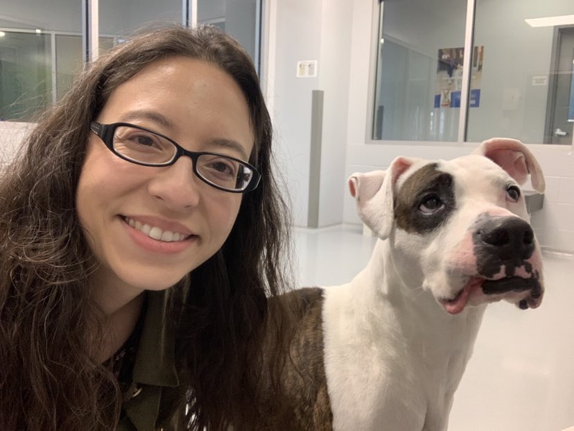 HHHSTopeka's tweet photo. Diva has been at our shelter since January (minus two short adoption stints that just weren't the right fit). She's about 8, gets her lip adorably stuck on her teeth, loves a chill environment/dogs, and is $0 to adopt! Let's find her a home! #AdoptPureLove https://t.co/21CUJCJ8wQ