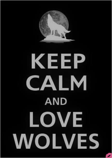 trinzu's tweet photo. #Onlywolves โค๏ธ๐บ https://t.co/U88bhlsTus