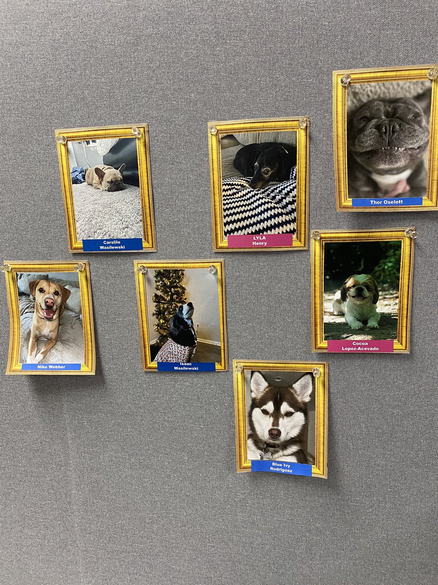 These pics really make me and anyone stopping by smile 😊. Send me your pet pics if you want them added to my Pet Wall of Fame. @TeamPVEOHPA @TeamMOHtivate @TeamForceOHPA