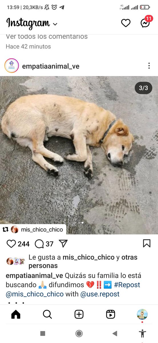 𝕄𝕒𝕣amos24 tweet media