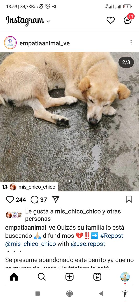 𝕄𝕒𝕣amos24 tweet media