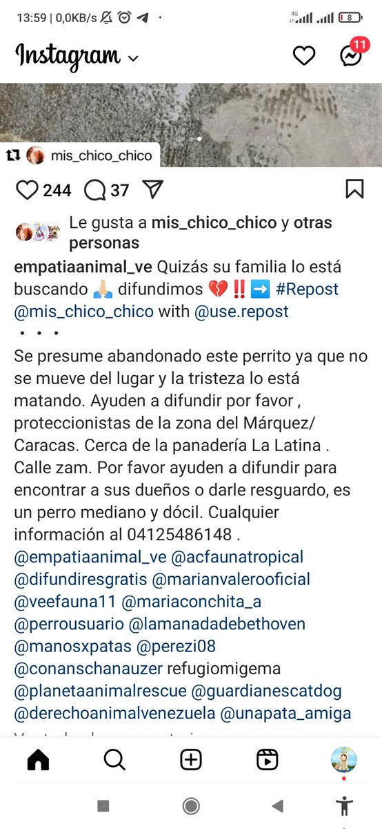 𝕄𝕒𝕣amos24 tweet media