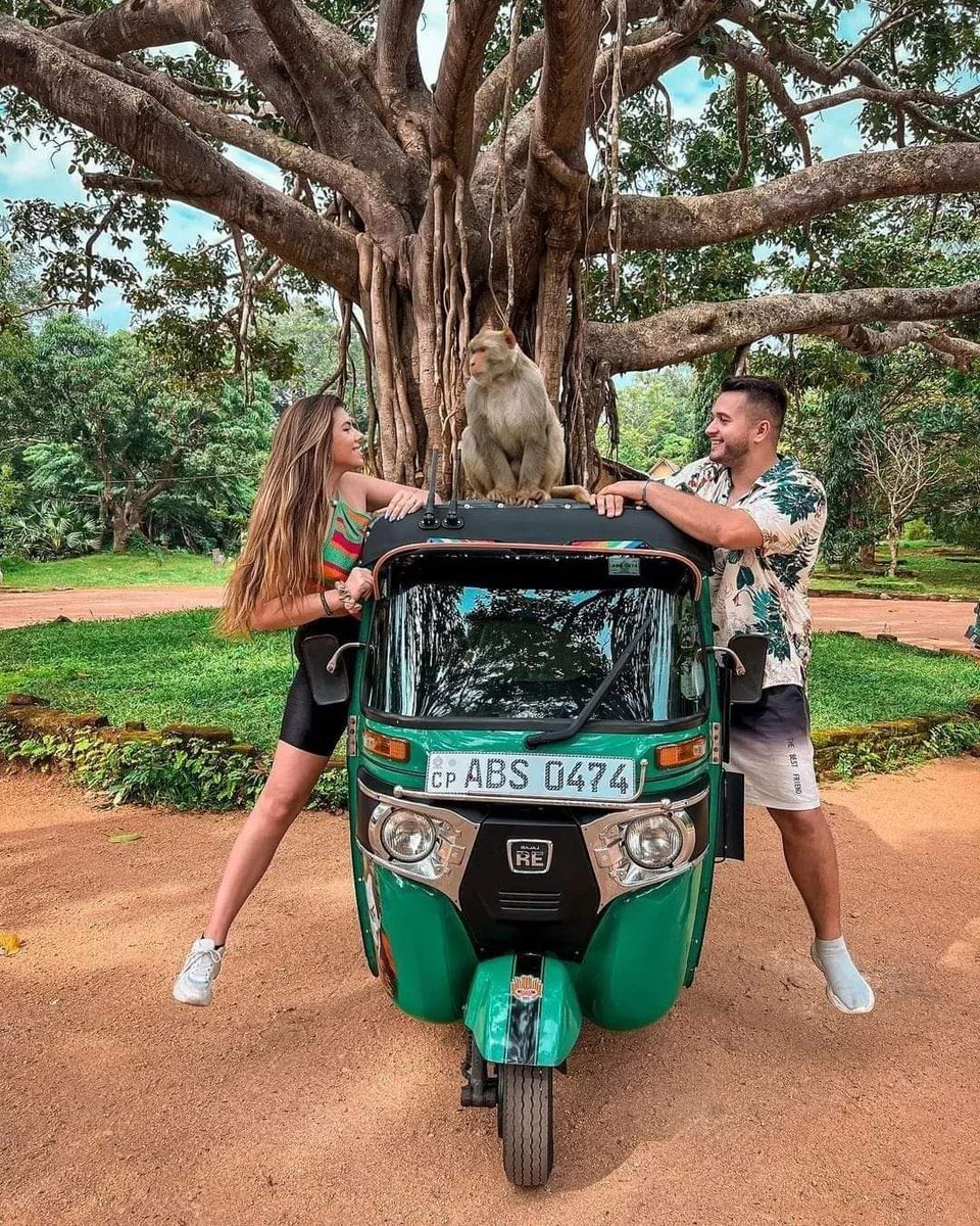 Sri Lanka ❤️ #VisitSriLanka #traveler #traveling #Traveller #traveling #Photographie #Ukraine #PhotoChallenge2023July #vacation #Canada #japanese #England #Australian #wildlifephotography #wildlifephotography #love #wildflowers #animal #Africa #Kenya #Jaguars #Tigres  #ParTYtime