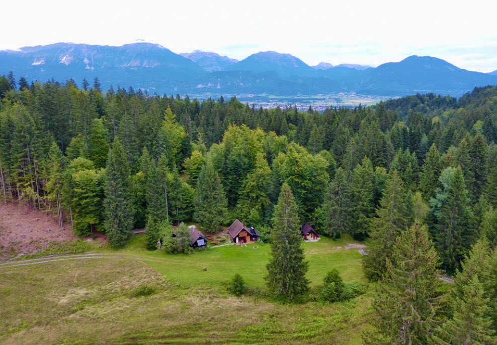 Erik de Jonge tweet media