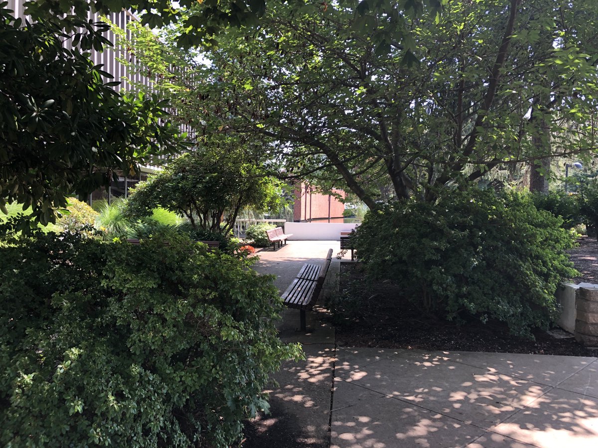 AdelphiU's tweet image. In honor of National Relaxation Day, we’re sharing some of the top spots to unwind on campus. What’s your favorite spot on our beautiful, organic campus to relax? Don’t forget to stop and smell the roses! #MyAdelphi