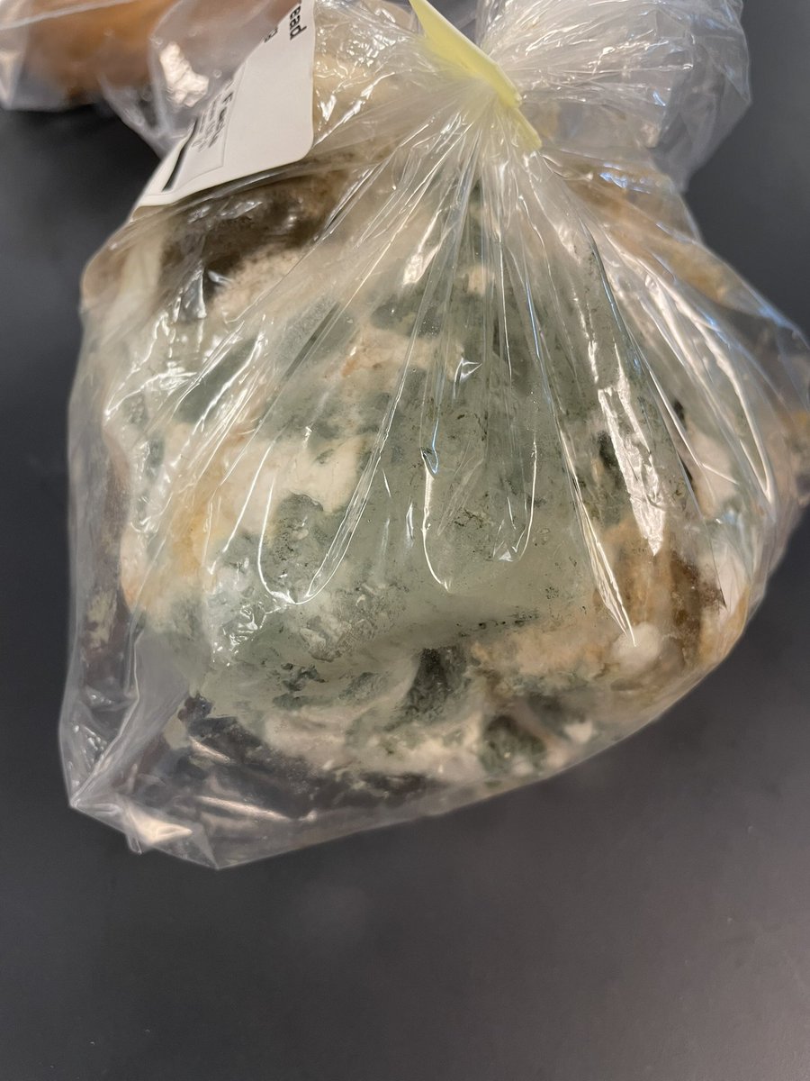 Dr. Jen M tweet media