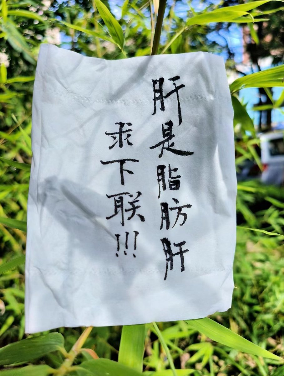 夏洛🇨🇳 tweet media