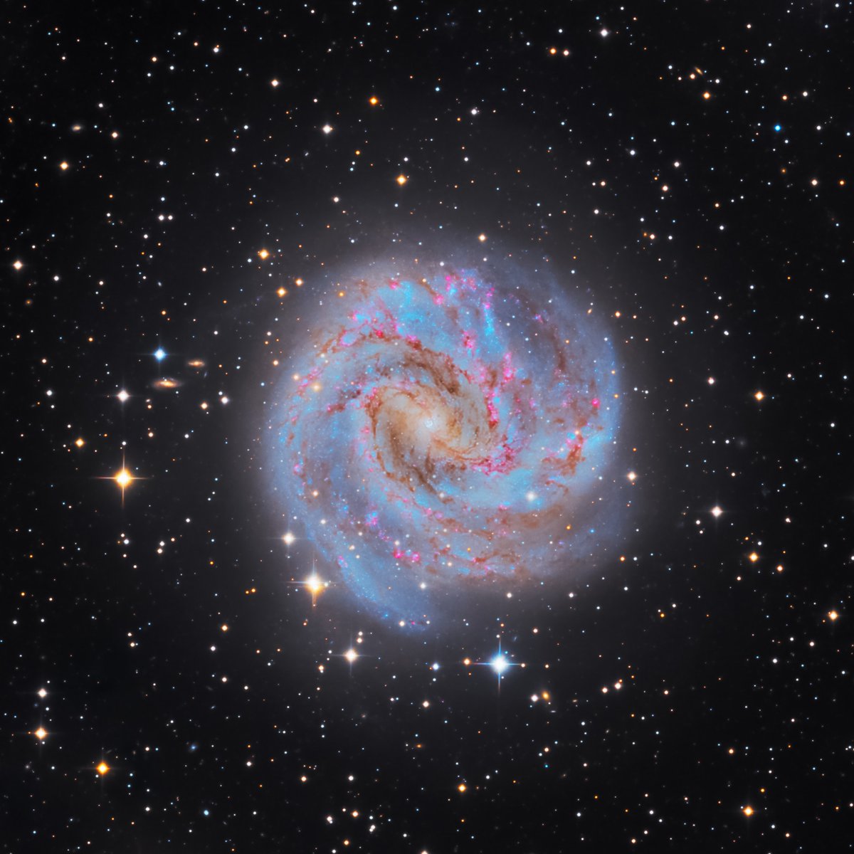 Sloika.xyz tweet media