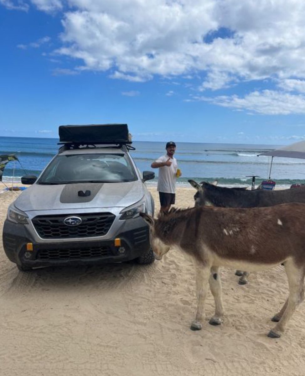 PiazzaSubaru's tweet photo. The ultimate Subaru getaway 🏁 #SubaruFamily 

📸 @essexprescott @camhootch 

#TeamSubaru #DreamTeam #DreamCar #GetawayGoals #VacationGoals #CarGoals #SubaruLife #SubaruLifestyle https://t.co/eJwg9x9tSF