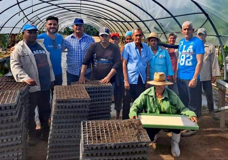 GTabacuba's tweet photo. 👉 Inicio de la puesta de semillas en bandejas en los Túneles del #ProyectoVirginia, en #SanLuis, Pinar del Río, con la presencia de especialistas de la empresa mixta Brascuba Cigarrillos, S.A.
#CampañaTabacalera 23-24
#NuestraFortalezaEsLaHerencia
@abtsanluis https://t.co/h9PdWKBC2M