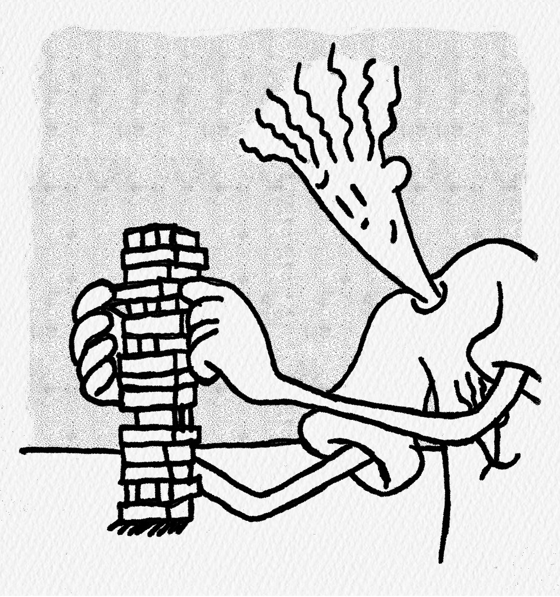 Going through my hidden folder 🧱