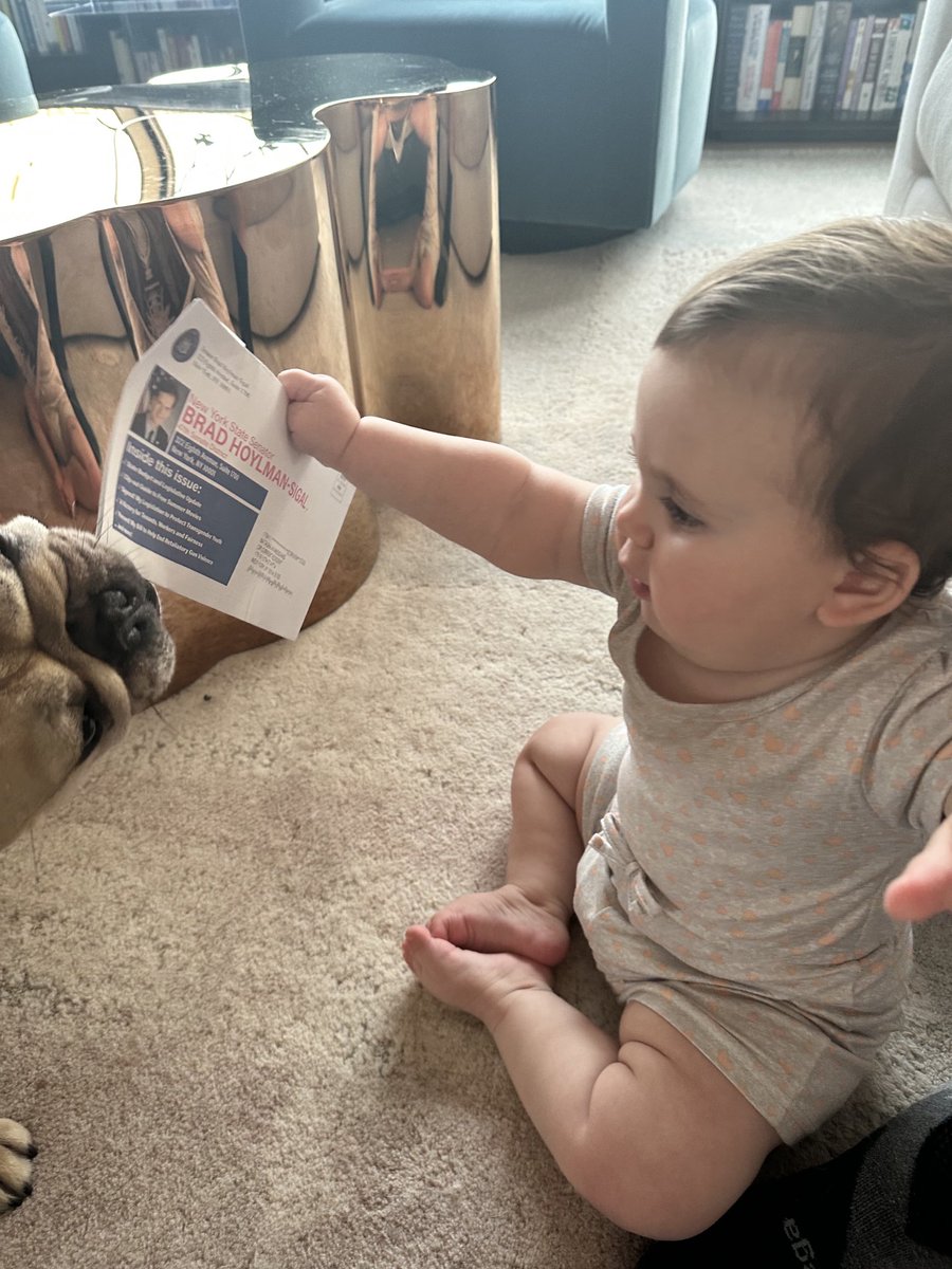NAvanessians's tweet photo. Thank you ⁦@bradhoylman⁩ for your updates! Violet and Boris are excited to see what’s going on in the 47th District 💜 https://t.co/wCuJNH1gw3