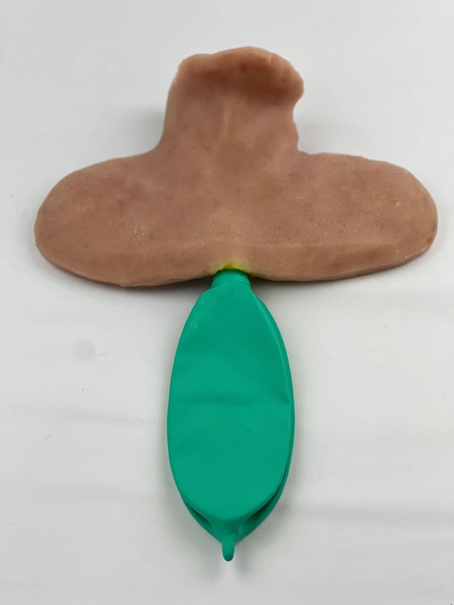 TitanSimulation's tweet image. Proudly presenting our pediatric cric simulator @ titansimulation.com. Check it out and get yours today!