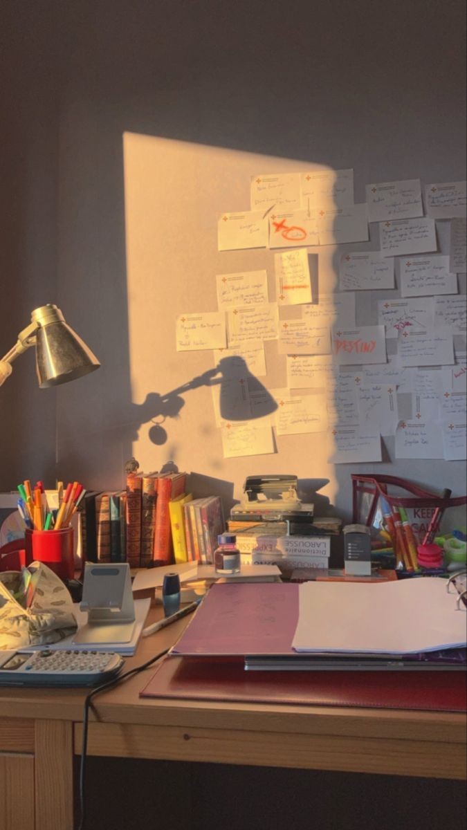 tyongyul's tweet image. ◇ search: #studytwtbr #studytwt  

        - Lau, infj
        - ela/dela
        -  meta: Medicina veterinária.
        - foco: Vestibulares e enem.
        - inglês básico.

♡: Música, séries, animais, pokémon, vôlei e star wars.
     
                   ↺/♡: moots