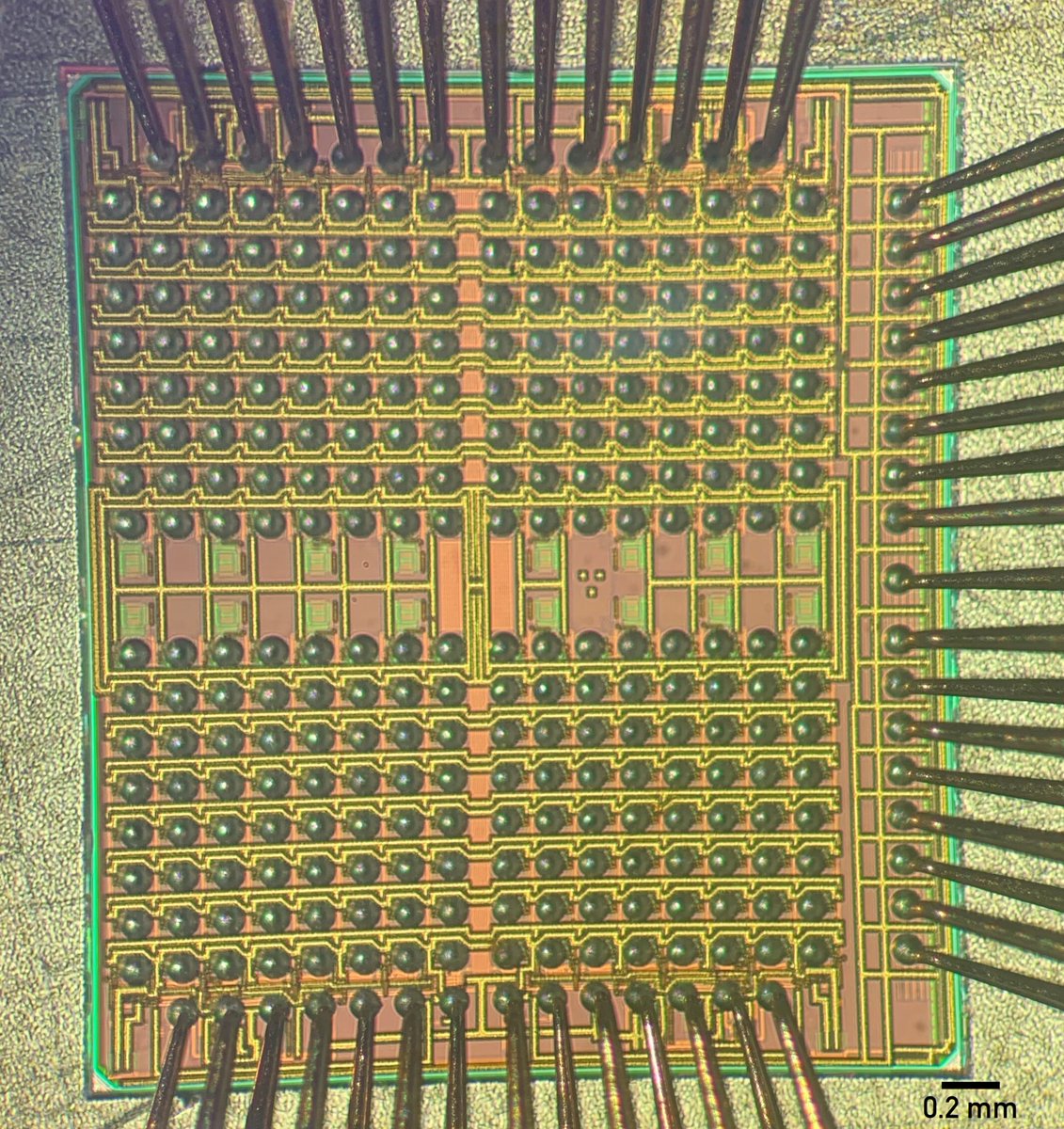 neuralink's tweet photo. We test 100% of our custom chips to characterize their performance before they get assembled in an implant. Only the best 🏅 https://t.co/NvvIXj1nit