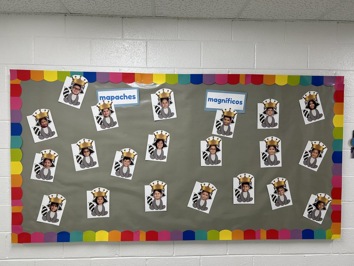 Allie Ontaneda tweet media