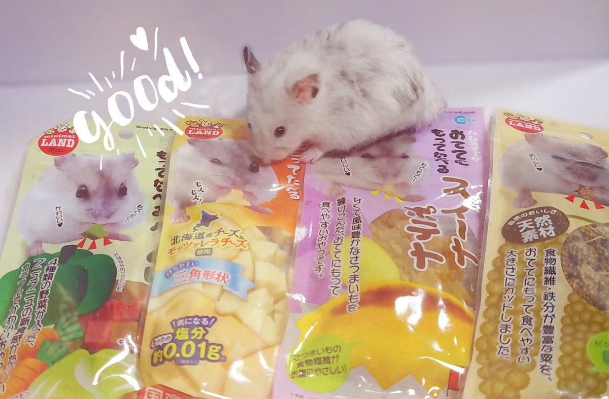 遅くなりましたが、コミケお疲れ様でした!本など手にとって下さるだけでも嬉しいのに差入れまでっ!めちゃ嬉しいです✨✨ハムちゃん達も凄く喜んでました!お名前とかない方はここでのお礼のみで申し訳ないです😢
頂いた御本やグッズやお手紙は大切に致します〜😊ホクホク 