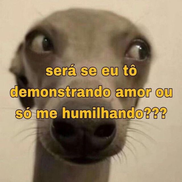 memes estranhos tweet media