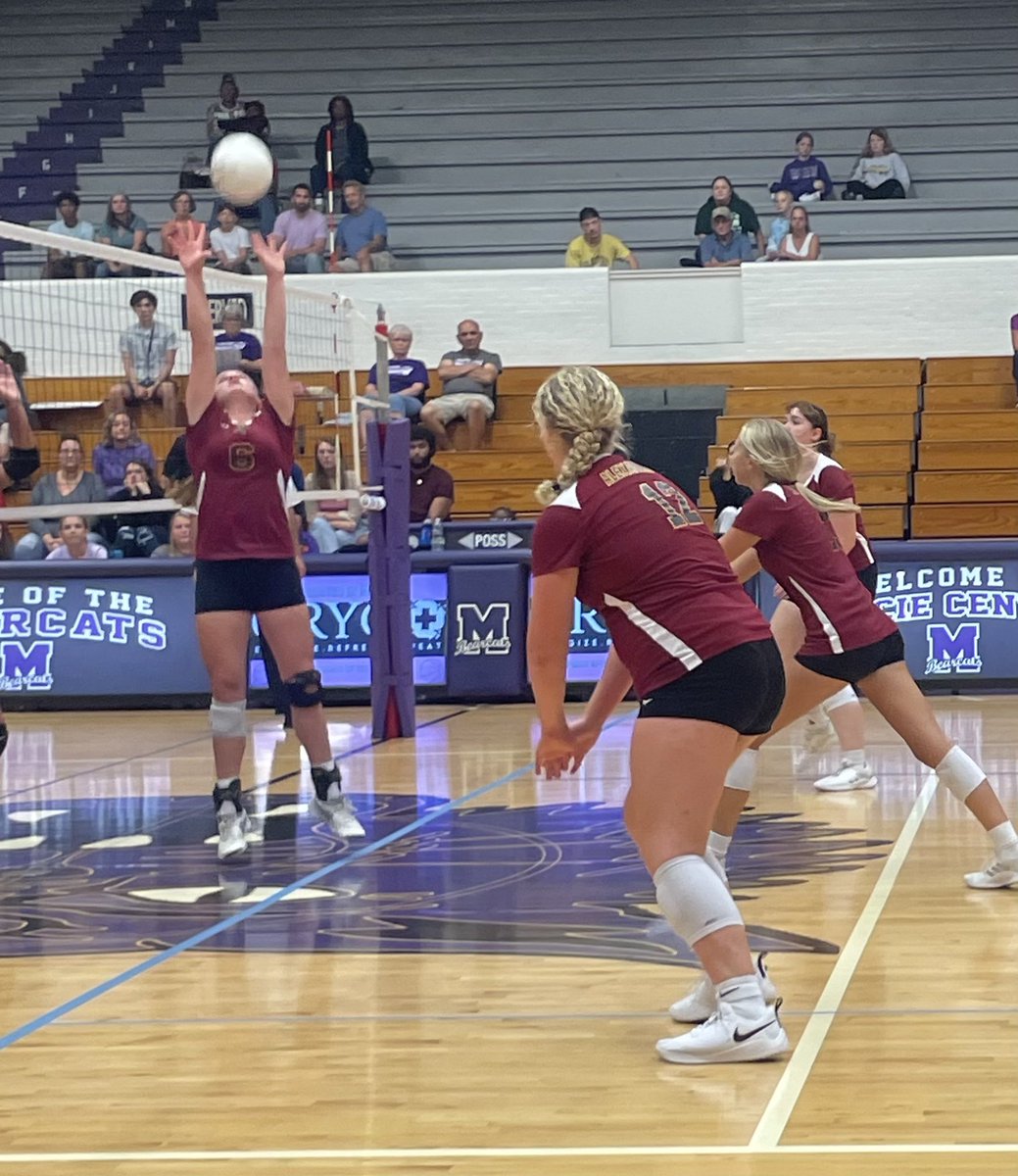 Alexandria Tigers tweet media