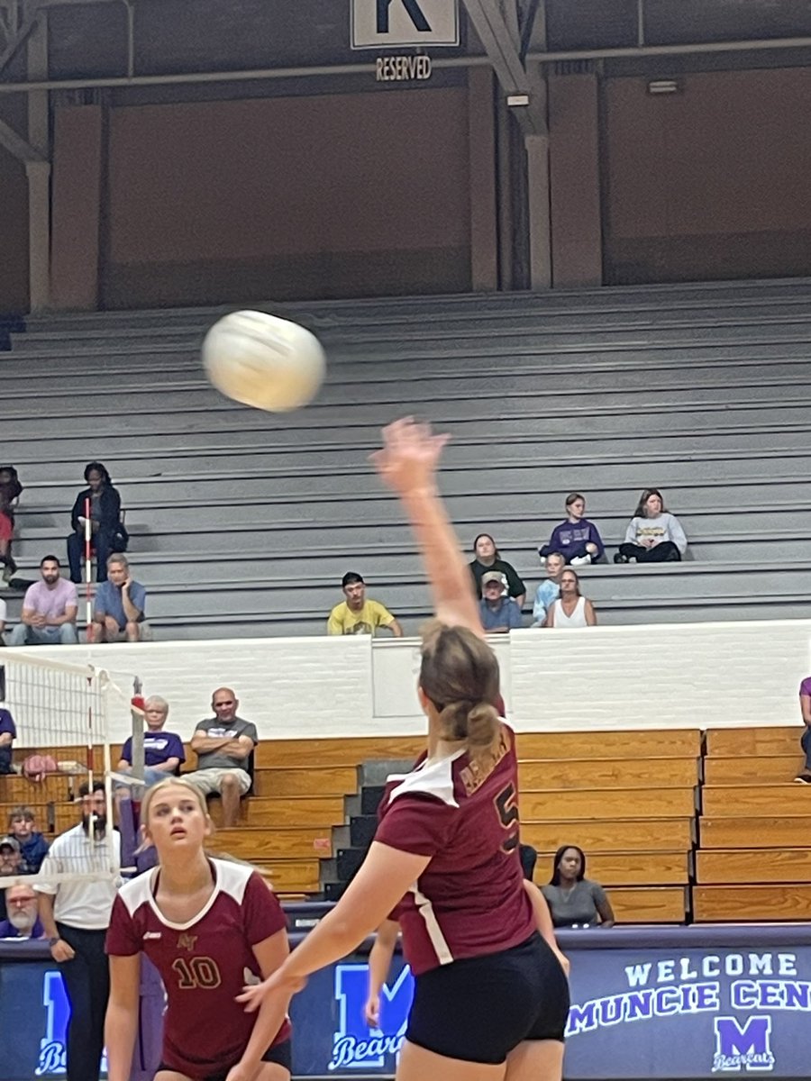 Alexandria Tigers tweet media