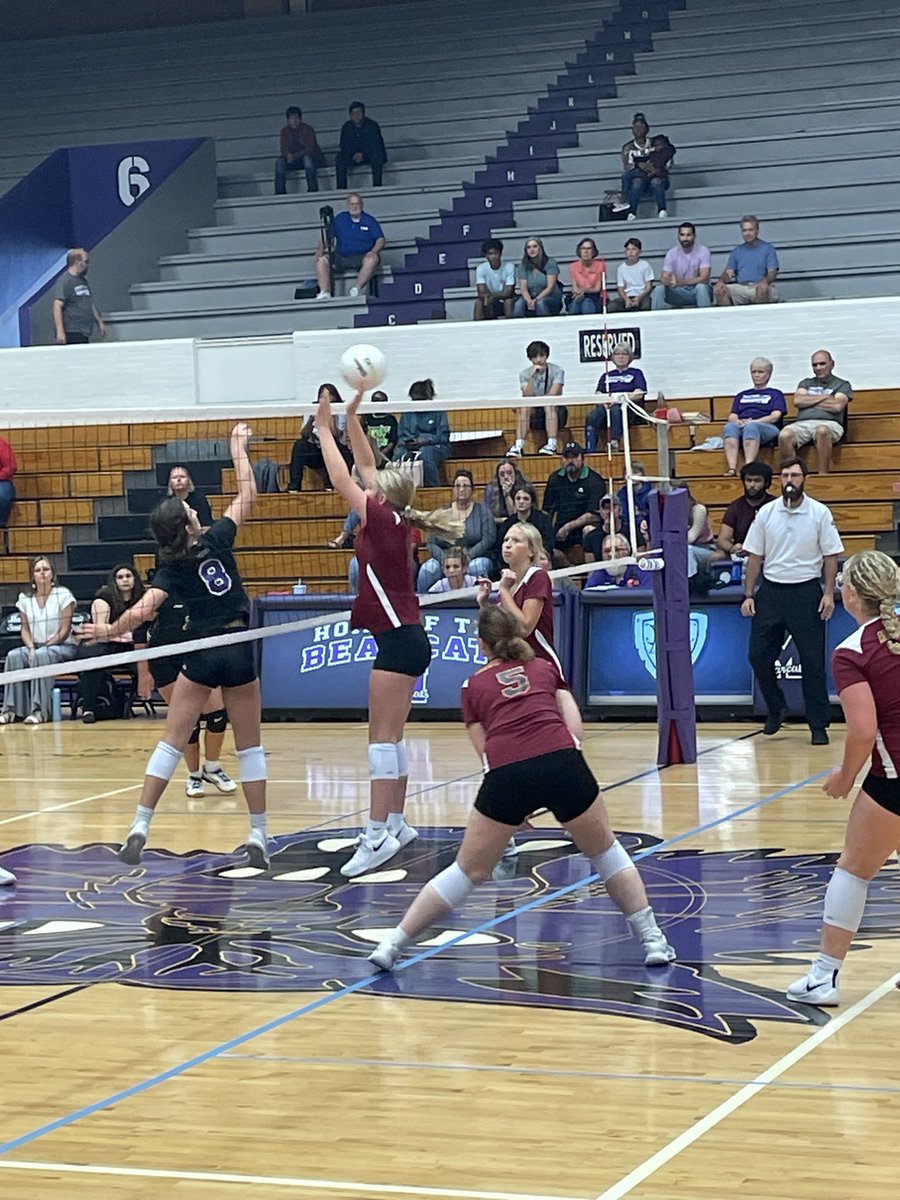 Alexandria Tigers tweet media