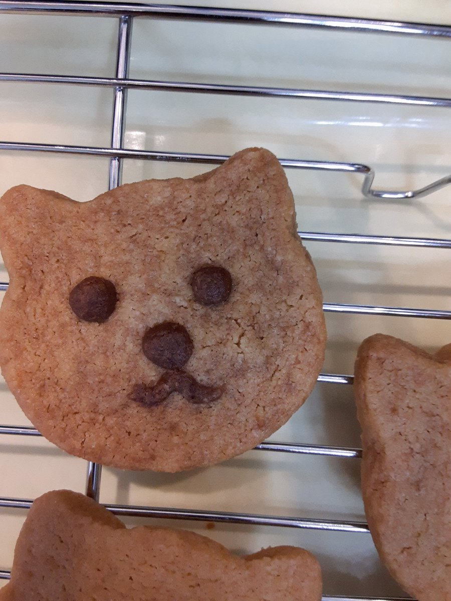 sweetsdecoirumu's tweet photo. 暑くて
書いたお顔が溶けちゃうから
チョコじゃない素材で
お顔を作ってみて

どうぶつクッキーまつり

#失敗は成功のもと
#イベントって楽しみ 
#ドーナツ
#おやつ
#スイーツ
#手作りお菓子
#デザート
#可愛い
#北海道
#札幌ドーナツ 
#札幌白石
#ドーナツ
#焼きドーナツ
#札幌ドーナツ https://t.co/oDBpLKEZWd