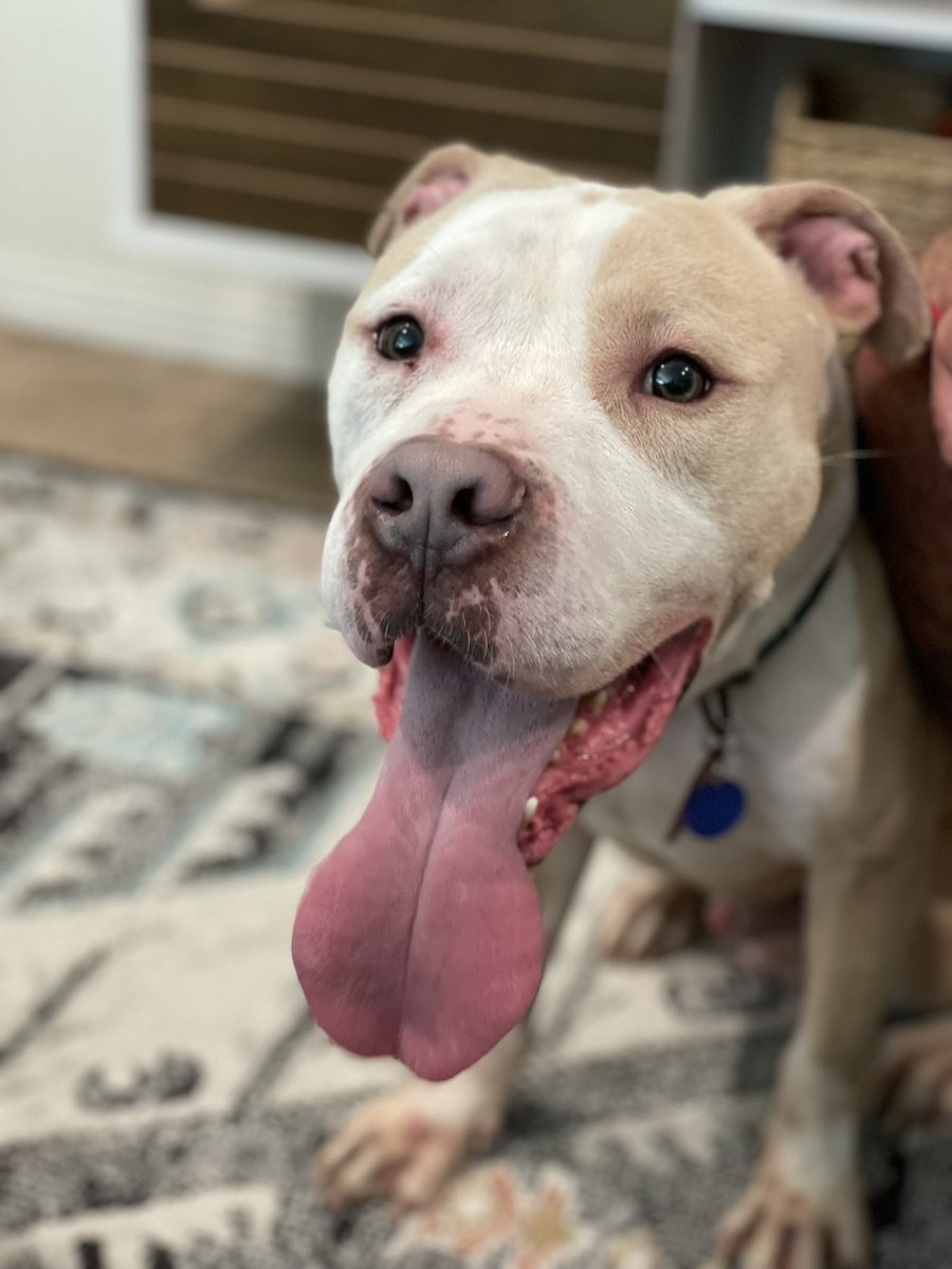 Emily ™ tweet media