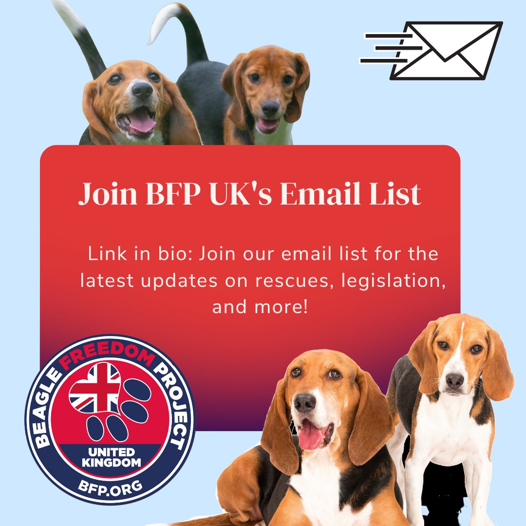 A reminder for our new followers: please join our BFPUK Email List to be the first to know about upcoming rescues, legislative updates, and more!: bfpuk.org