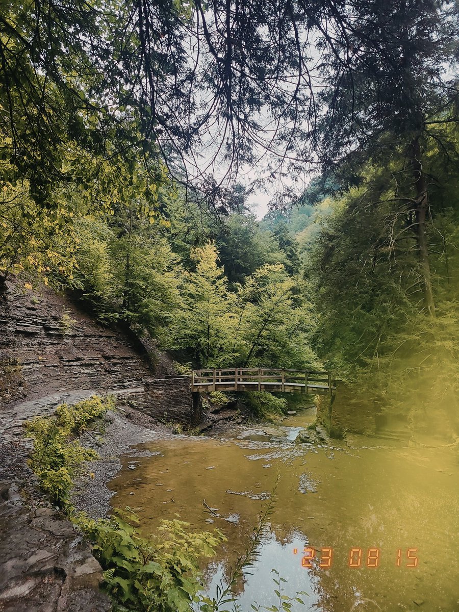 Alyssa Gerstein (@alyssagerstein) on Twitter photo 