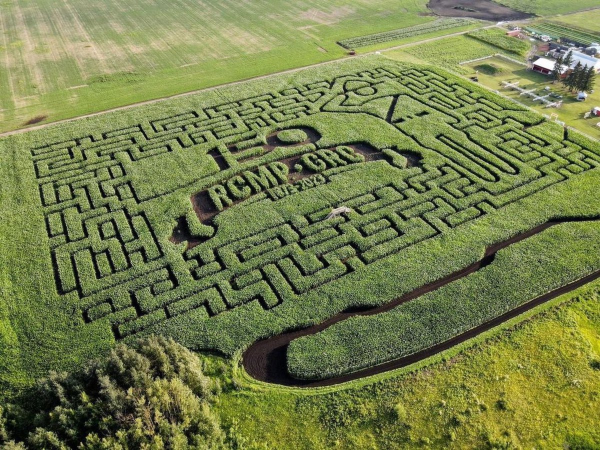 SweetStixPops's tweet image. Did you know you can get Sweet Stix at the #yeg @corn_maze! We highly recommend checking them out this year! edmontoncornmaze.ca

#popsicles #yegbiz