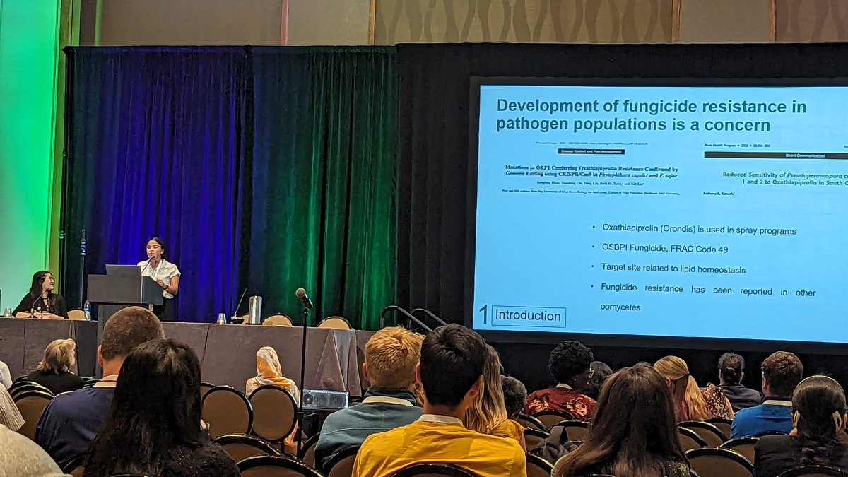 Hunter Collins (@hcollinsncsu) on Twitter photo Excellent talk on Oxtp resistance in cucurbit downy mildew at #APSplanthealth2023! Great Job <a href="/MPrietoTorres/">Mariana Prieto Torres</a>! <a href="/QuesadaLabNCSU/">NC State Veggie Pathology</a> <a href="/NC_PSI/">N.C. Plant Sciences Initiative</a> <a href="/NCSU_DEPP/">NCSU Entomology & Plant Pathology</a> Excellent talk on Oxtp resistance in cucurbit downy mildew at #APSplanthealth2023! Great Job <a href="/MPrietoTorres/">Mariana Prieto Torres</a>! <a href="/QuesadaLabNCSU/">NC State Veggie Pathology</a> <a href="/NC_PSI/">N.C. Plant Sciences Initiative</a> <a href="/NCSU_DEPP/">NCSU Entomology & Plant Pathology</a>