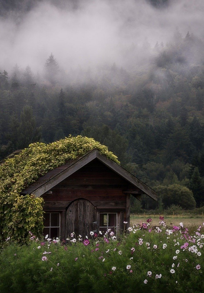 poetical photos. (@poeticalphotos) on Twitter photo 