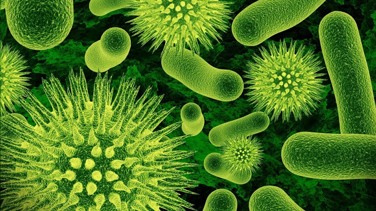 Mincyt_VE's tweet photo. #NoticiasMincyt | Sistemas de vigilancia epidemiológica y su importancia para abordar los desafíos de “Una Sola Salud”

Lea más: https://t.co/j5yI7OgUR2

#InnovarParaCrecer https://t.co/yh2abqNBuZ