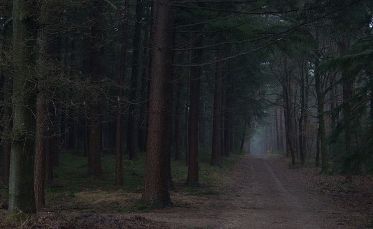 where no one knows us.