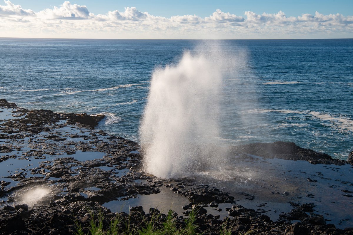 HawaiiTraveler's tweet photo. Nature's raw power as waves surge through ancient lava rock formations is pure enchantment. Legends, crashing sounds, rainbows—this place has it all! A Kauai essential! 📸🌈 #SpoutingHorn #KauaiMagic #NatureWonder #HawaiiVibes 🌴❤️ https://t.co/YzY2XNPE2t