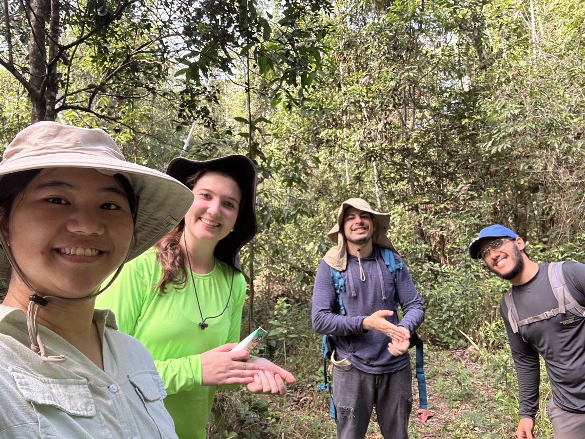 Rachel So tweet media