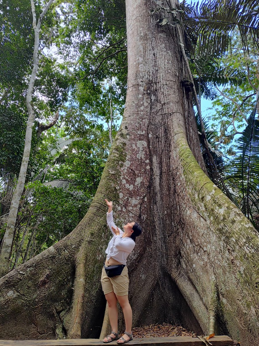 Rachel So tweet media