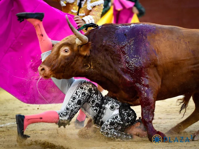 Foto cedida por Las Ventas