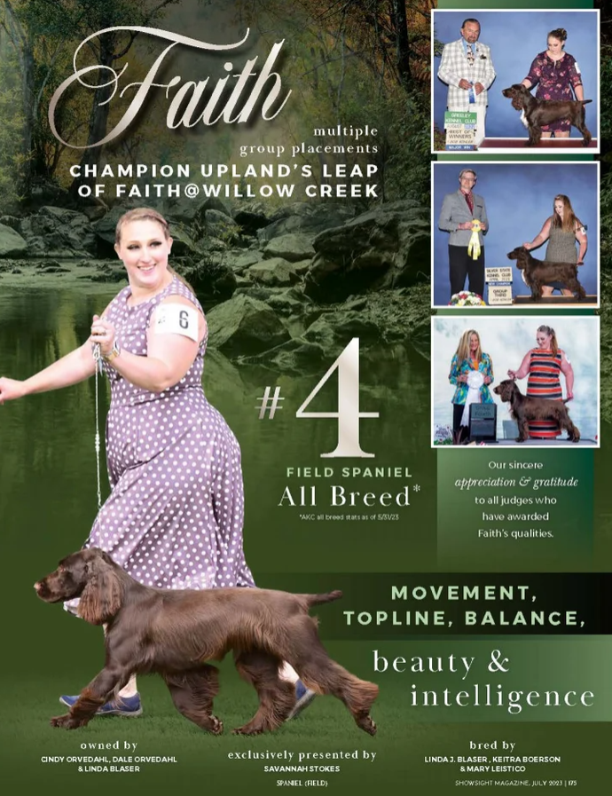 Showsight's tweet image. CHAMPION UPLAND'S LEAP OF FAITH@WILLOW CREEK

Lovely Faith💚

Owned by: Cindy Orvedahl, Linda Blaser
Presented by: Savannah Stokes
Bred by: Linda J. Blaser, Keitra Boerson, Mary Leistico

digital.showsightmagazine.com/view/832466395…
showsightmagazine.com/the-tield-span…

#fieldspaniel #purebred #dogshow