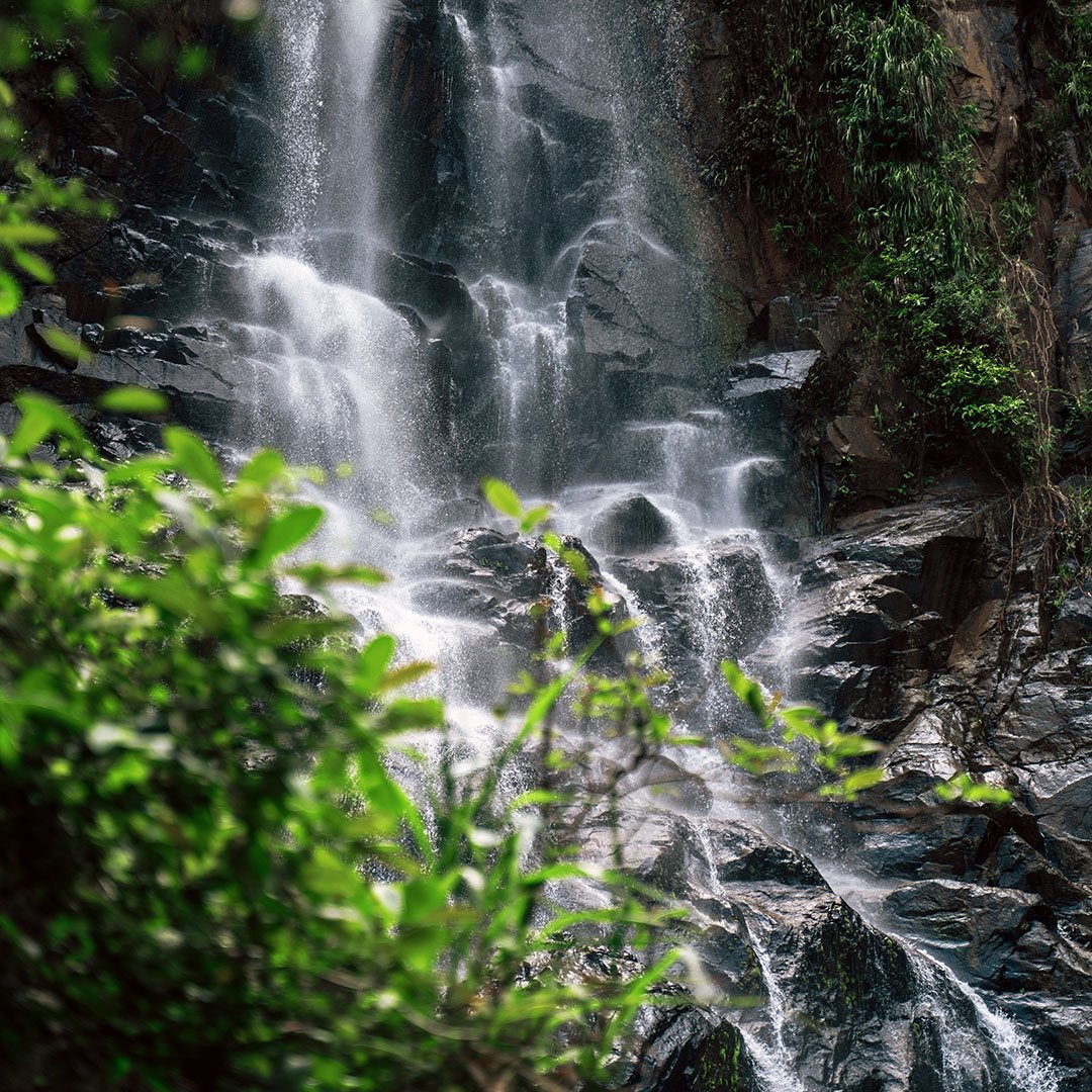 urasayaproperty's tweet photo. Slow down, sit and listen to the world around you. Escape the daily routine, do something different, contemplate, be peaceful in nature.

There’s no place better to escape to than Khao Luang National Park in Nakorn Si Thammarat province.

Photo: Anuchit Ngoylung @shbabalif https://t.co/gr7bEULhYj