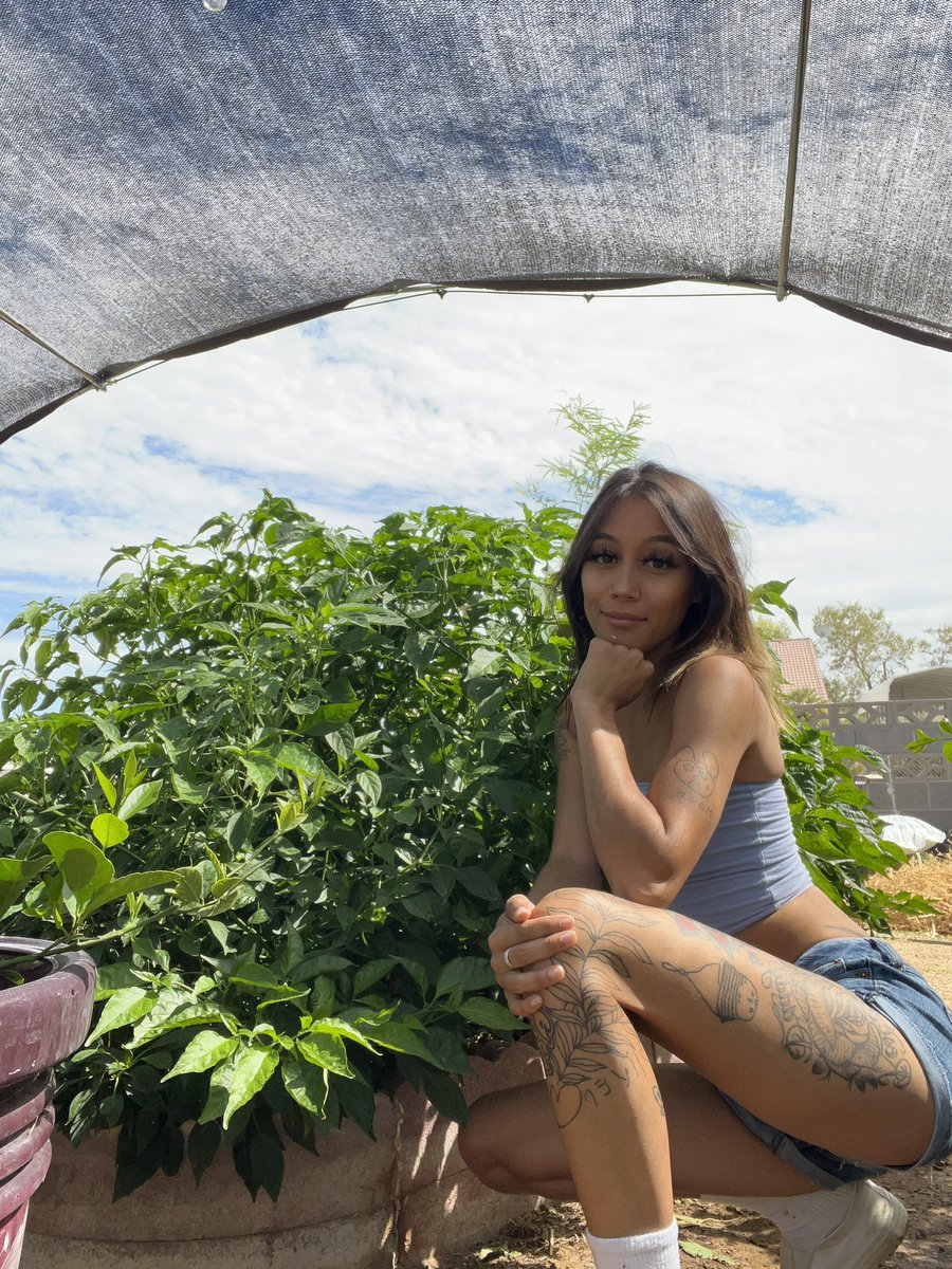 kimiedian's tweet photo. just a girl and her spicy peppers 🌶️ https://t.co/dQHMRz4b75