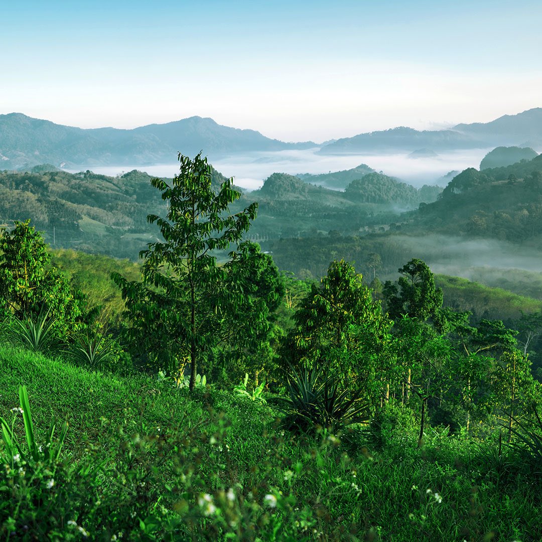 urasayaproperty's tweet photo. Capture life’s memorable moments in Nakhon Si Thammarat, the green capital of Thailand.

It’s a naturalists’ paradise with amazing opportunities for wildlife and landscape photography.

Photo: Anuchit Ngoylung @shbabalif https://t.co/fS2rSBgSSI