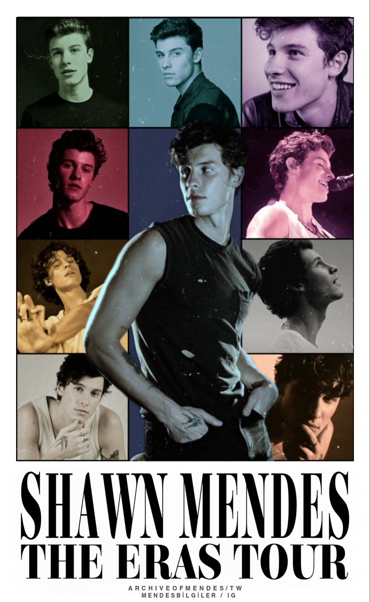 Shawn Mendes the Eras Tour