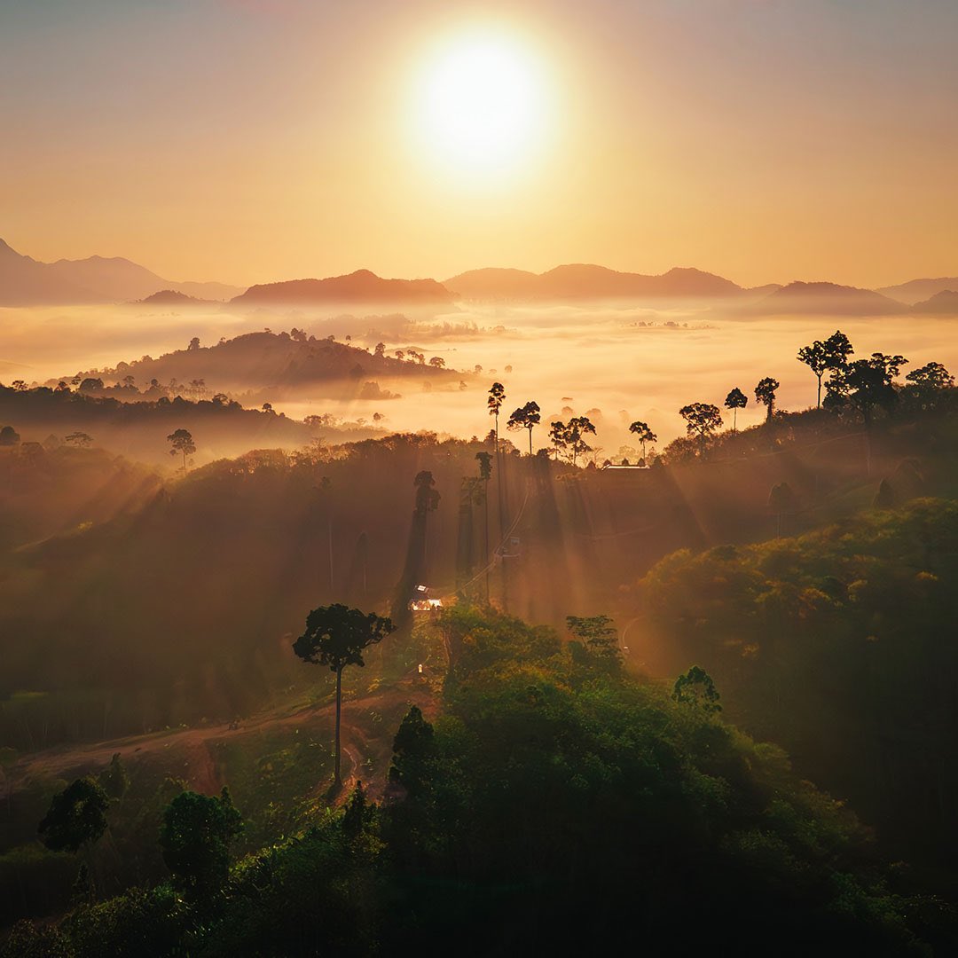 urasayaproperty's tweet photo. In Nakhon Si Thammarat, the morning mist clears to reveal a lush paradise of verdant mountains, waterfalls, caves and rivers.

It is little surprise that this ecological treasure-trove is often referred to as ‘the green lungs of Thailand’.

Photo: Anuchit Ngoylung @shbabalif https://t.co/gOlycfxG9O
